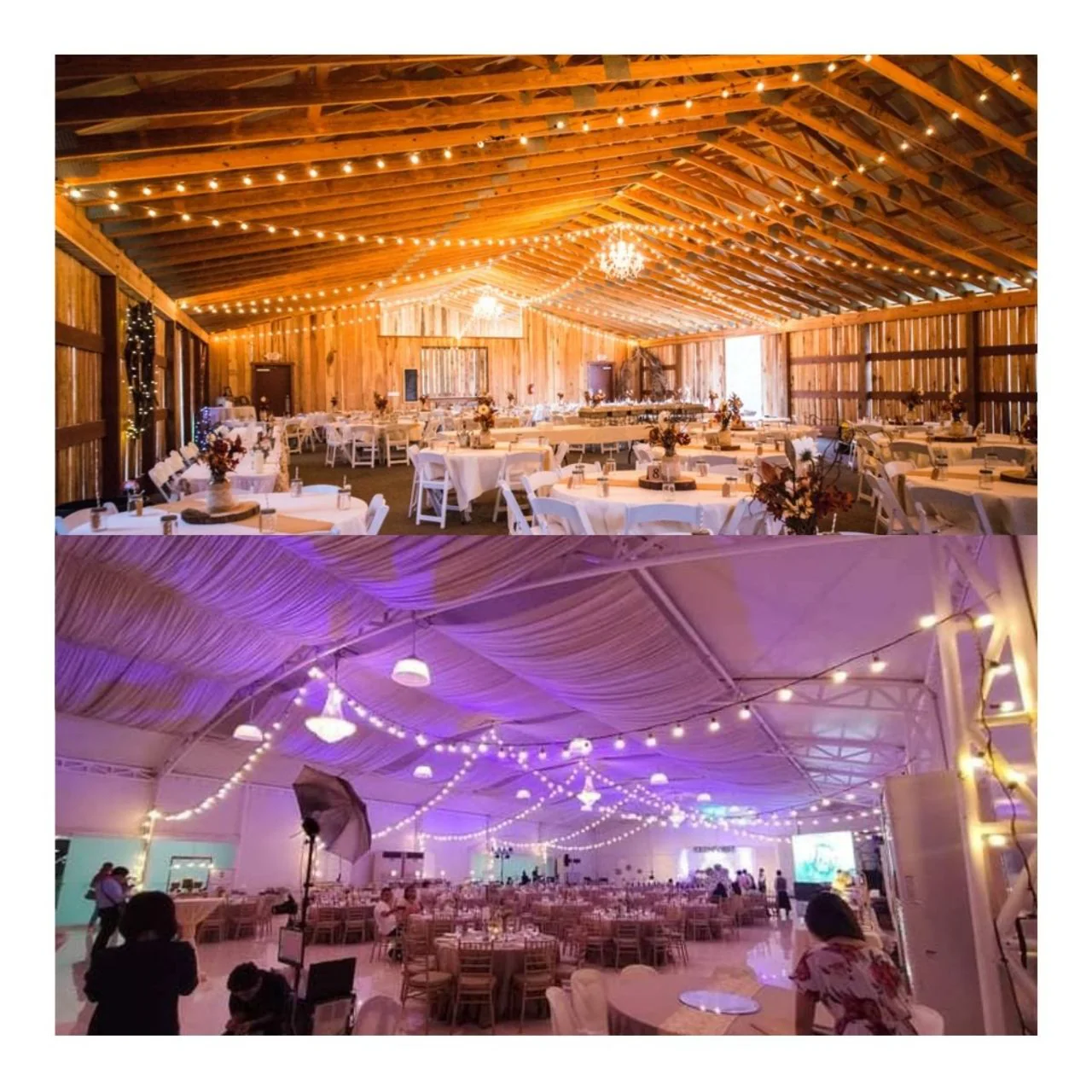 100ft G40 String Light - 50 E12 Sockets - 20AWG - 0.5W G40 Bulbs - LumeGen - Image 6