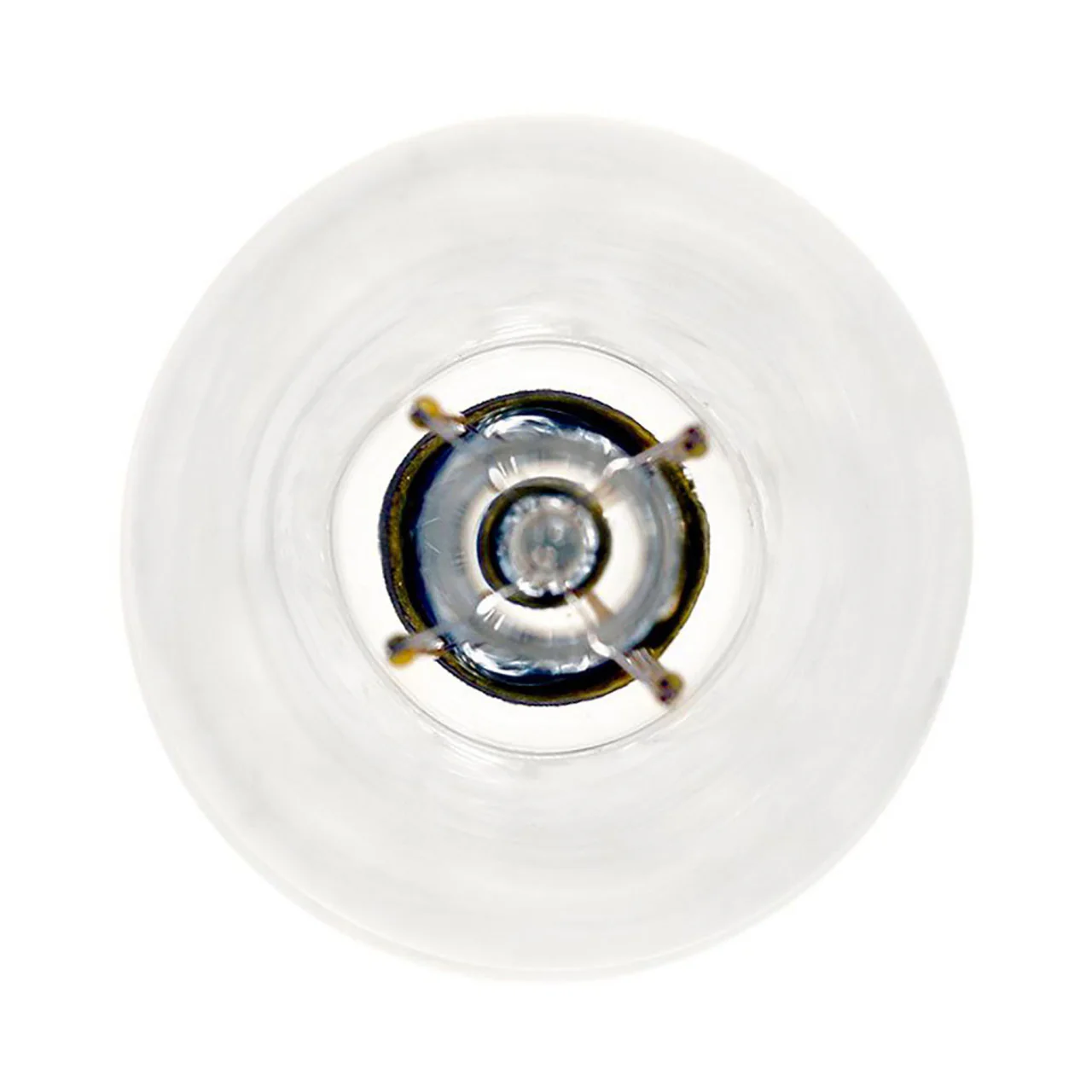CASE OF 24 - LED ST19 Filament - 7 Watt - Dimmable - 75W Equiv - 800 Lumens - Euri Lighting - Image 4