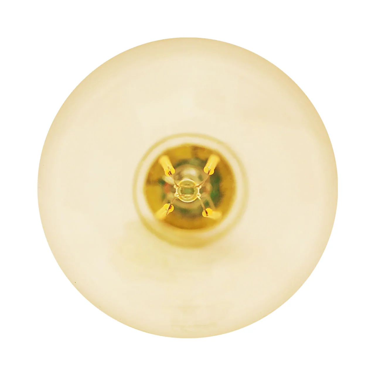 CASE OF 24 - LED G25 Amber Filament - 7 Watt - Dimmable - 75W Equiv - 600 Lumens - Euri Lighting - Image 4