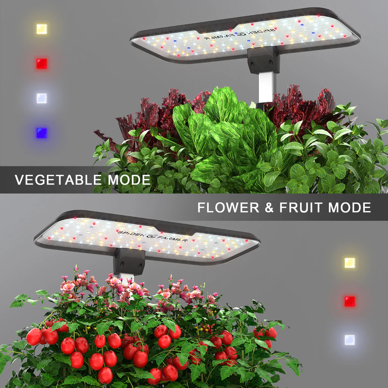 Indoor Hydroponic Grow System - 24W - Spider Farmer - Image 5