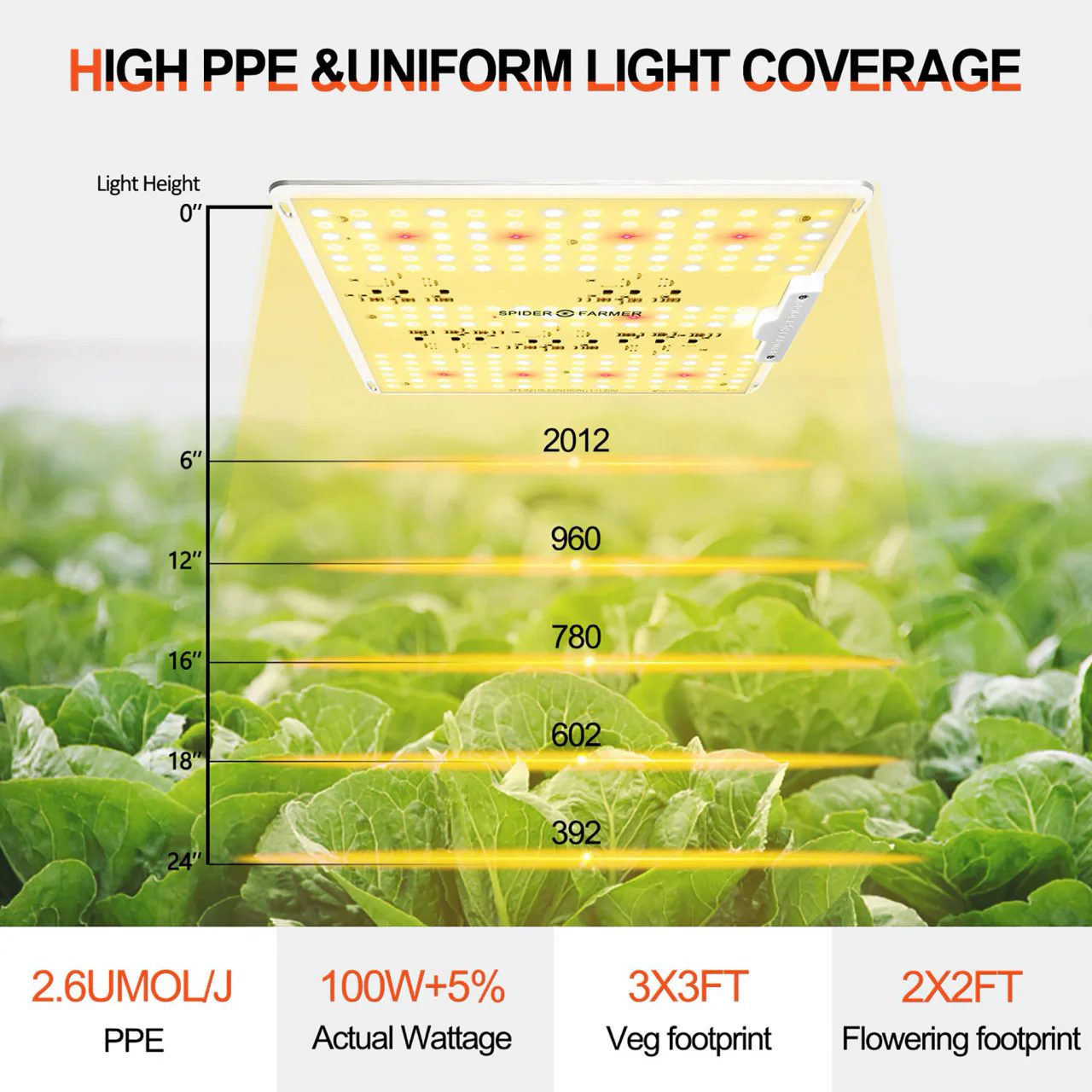 LED Full Spectrum Indoor Grow Light - 100W - Spider Farmer - SF1000D - Image 6