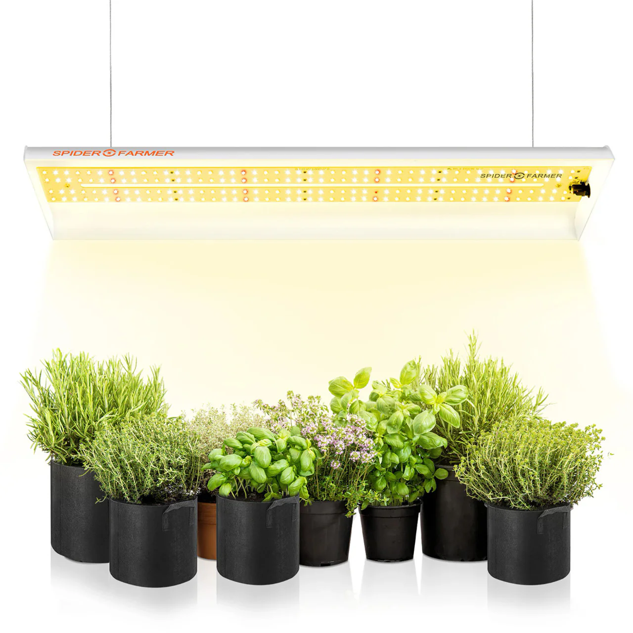 LED Full Spectrum Indoor Grow Light - 33W - Spider Farmer - Image 2