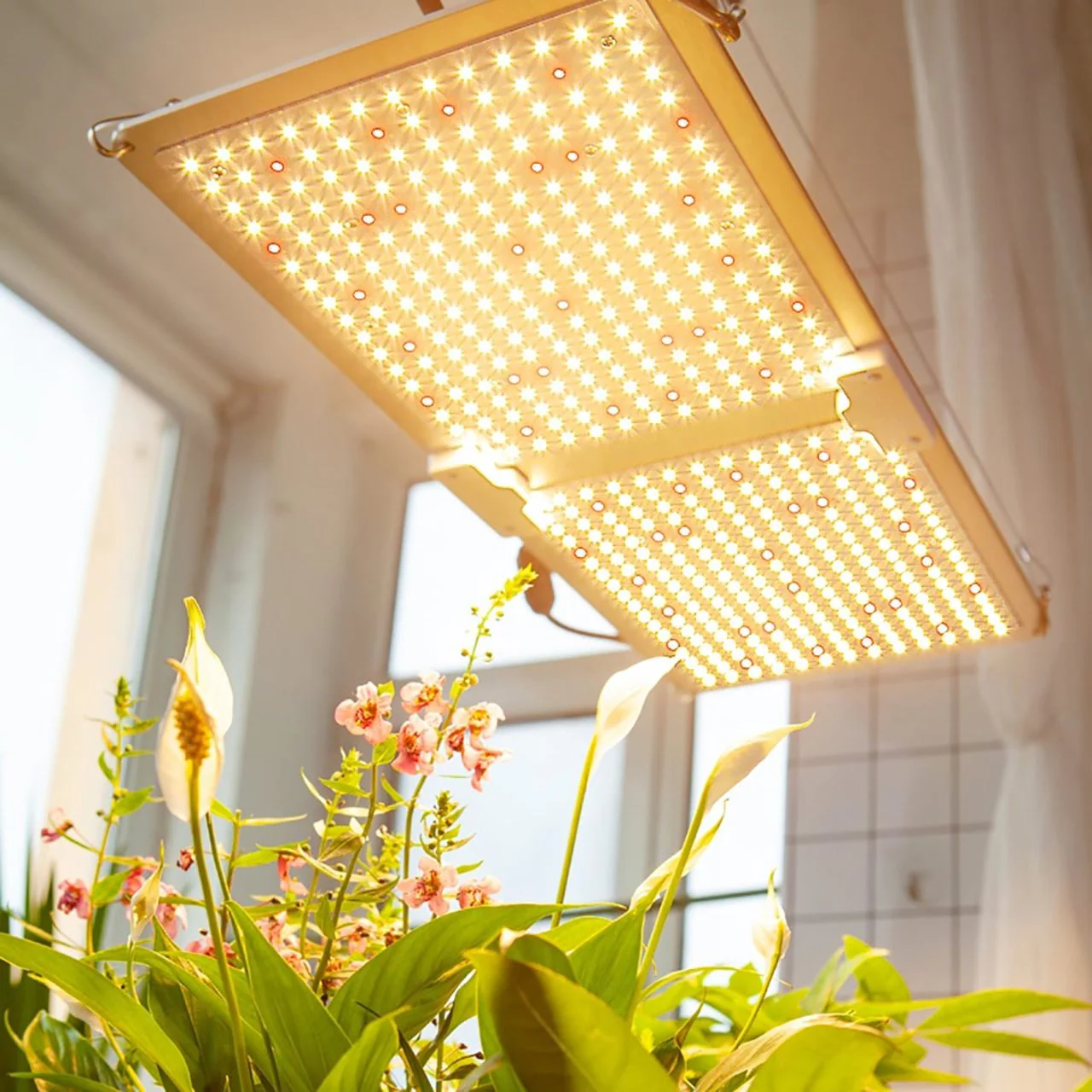 LED Full Spectrum Indoor Grow Light Panel - 440W - Dimmable - Image 12