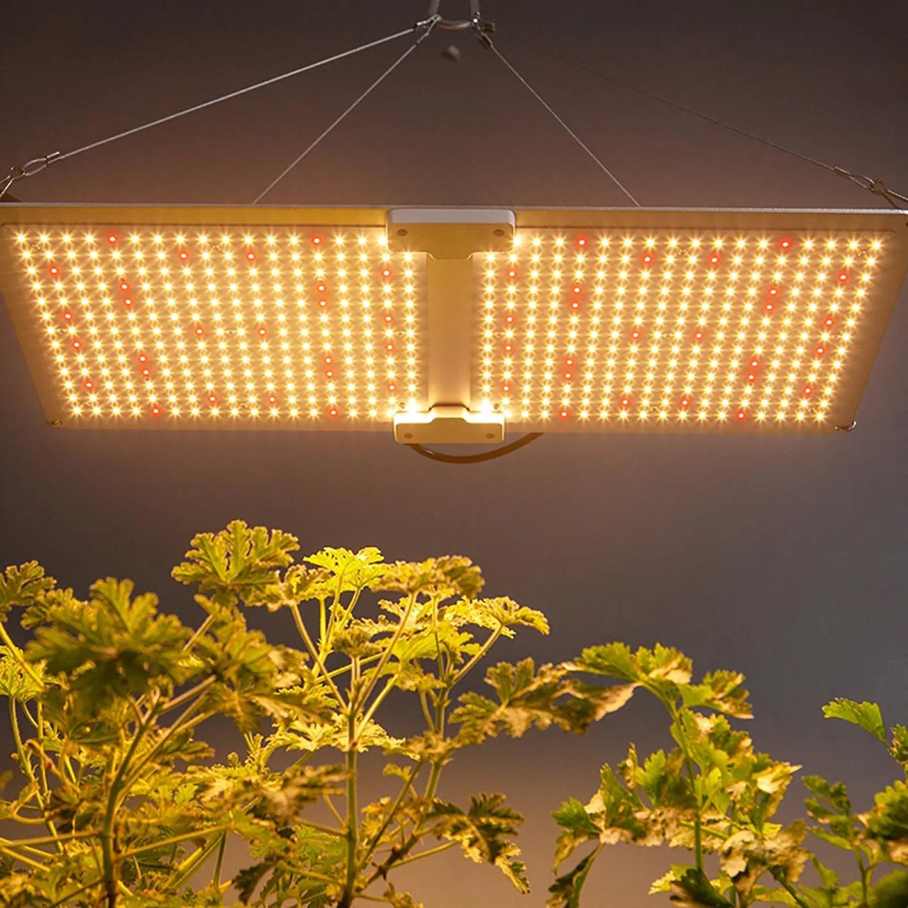 LED Full Spectrum Indoor Grow Light Panel - 440W - Dimmable - Image 14