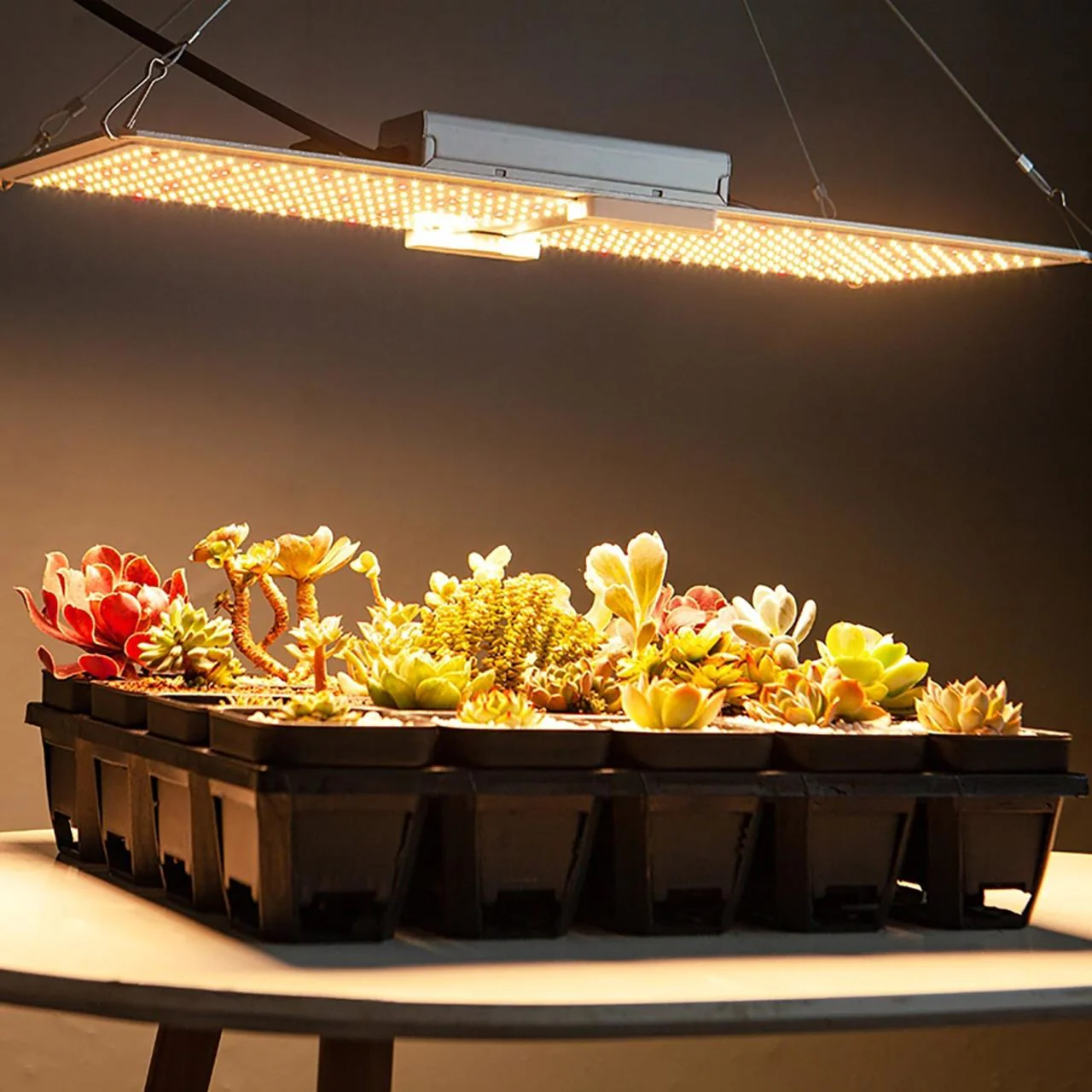 LED Full Spectrum Indoor Grow Light Panel - 440W - Dimmable - Image 15