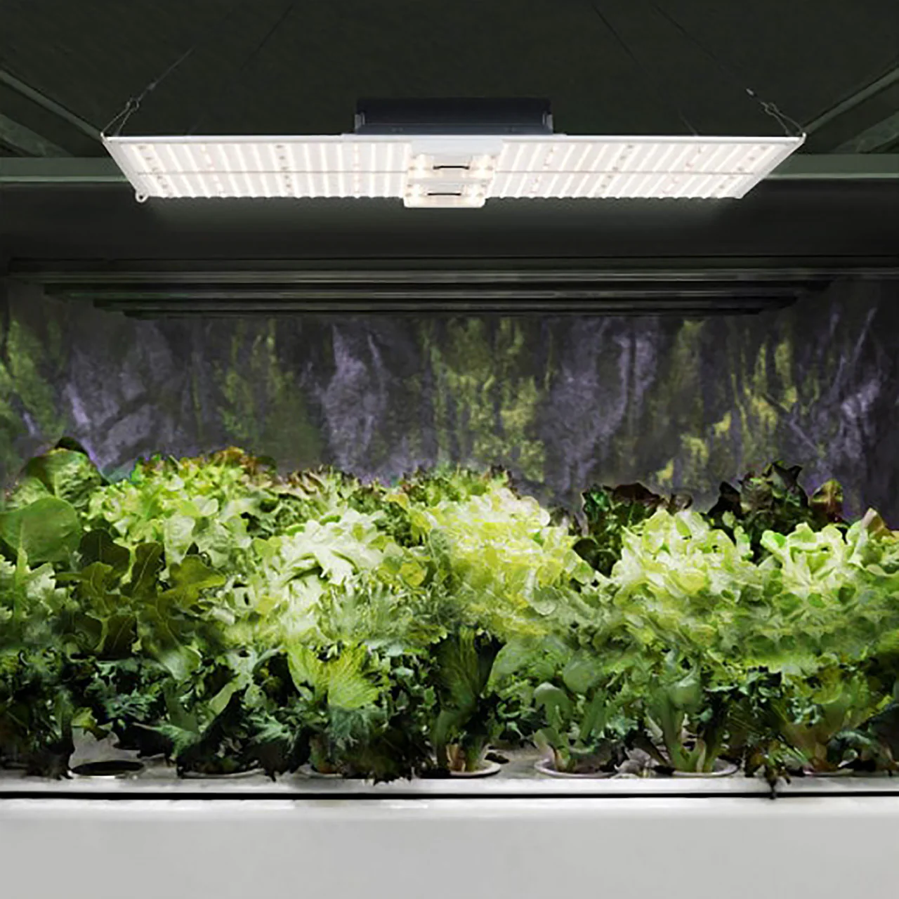 LED Full Spectrum Indoor Grow Light Panel - 440W - Dimmable - Image 8