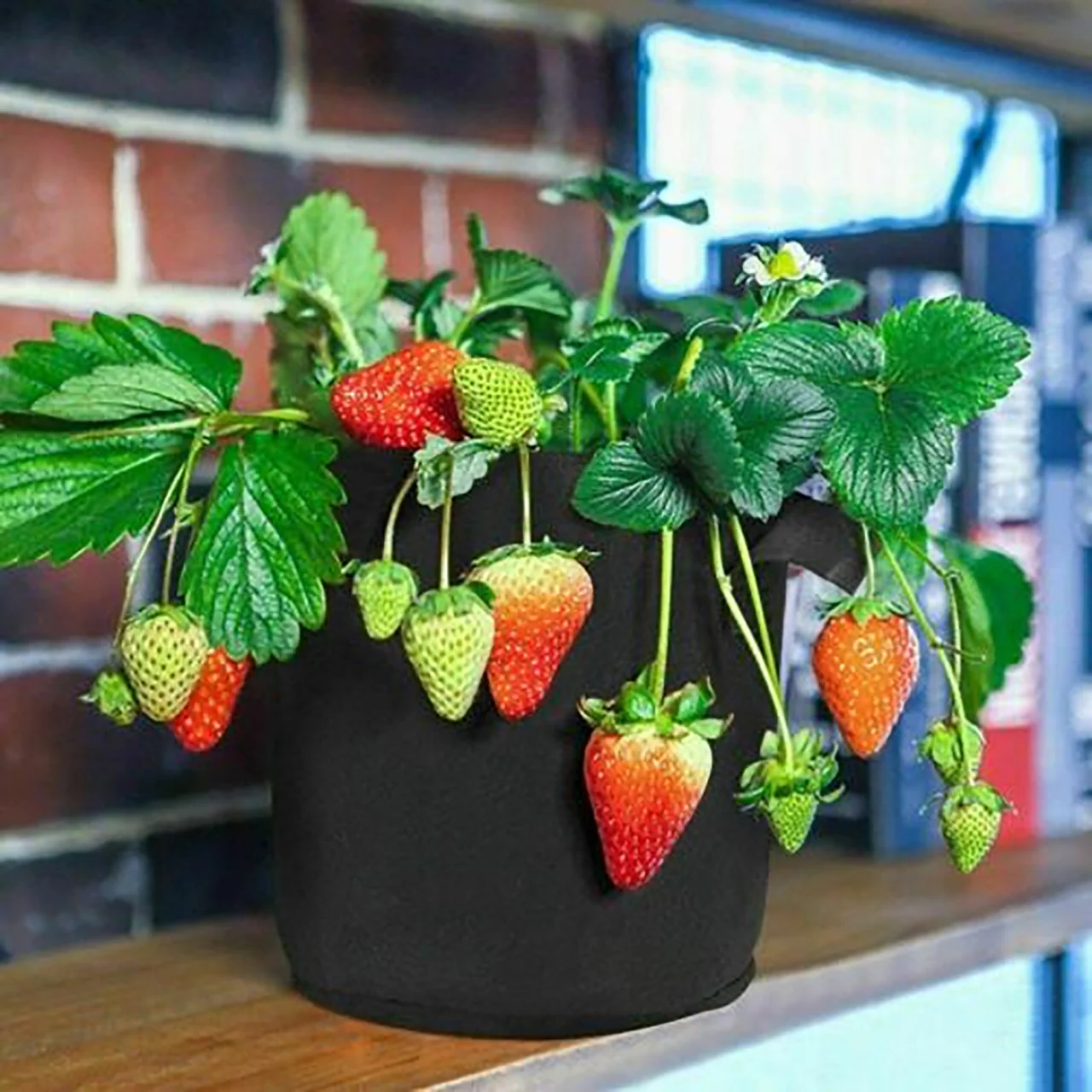 Pack of 5 - 5 Gallon Grow Bags - Spider Farmer - Image 4