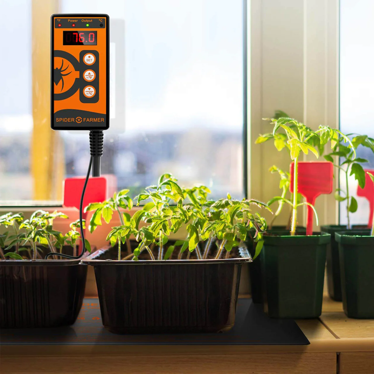 Seedling Heat Mat & Controller Set - 48in. x 20.75in. - Spider Farmer - Image 2