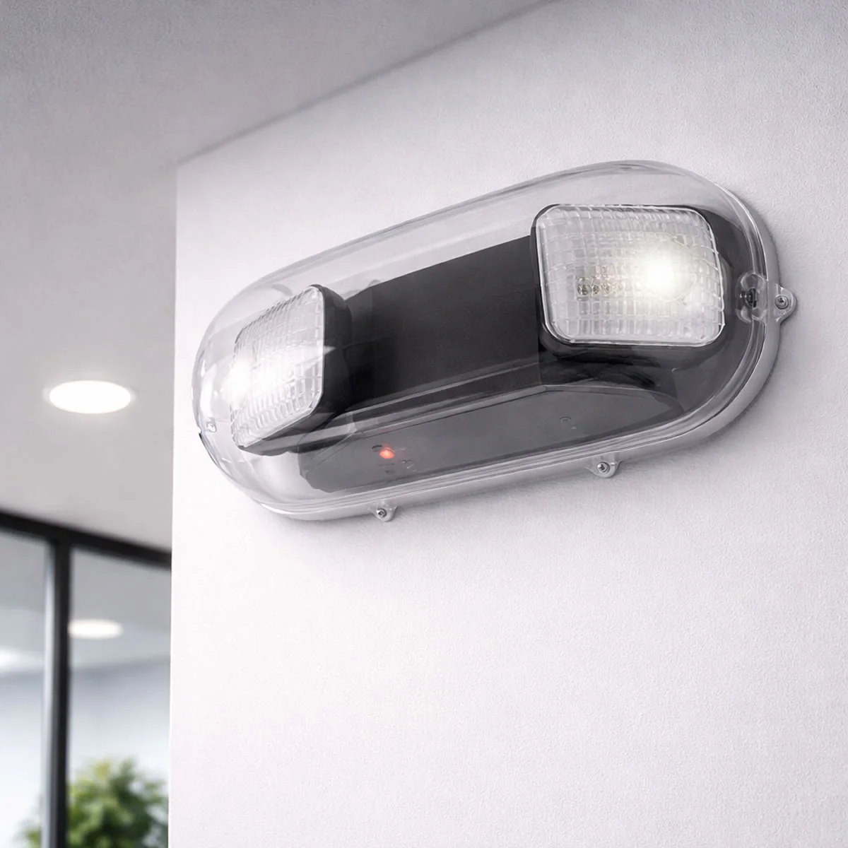 Vandal Shield for Emergency Lights - Image 2